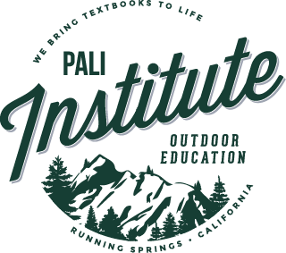 Institute Transparent Logo
